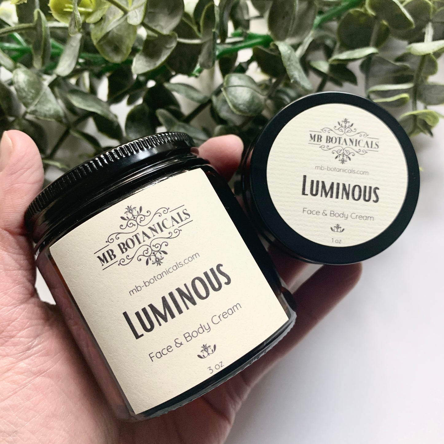 WS - Luminous Face & Body Cream