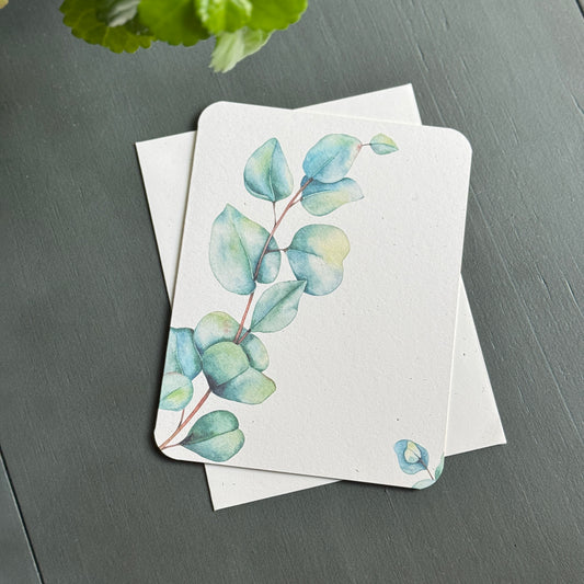 Eucalyptus Card