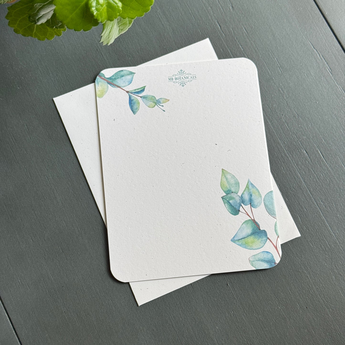 Eucalyptus Card