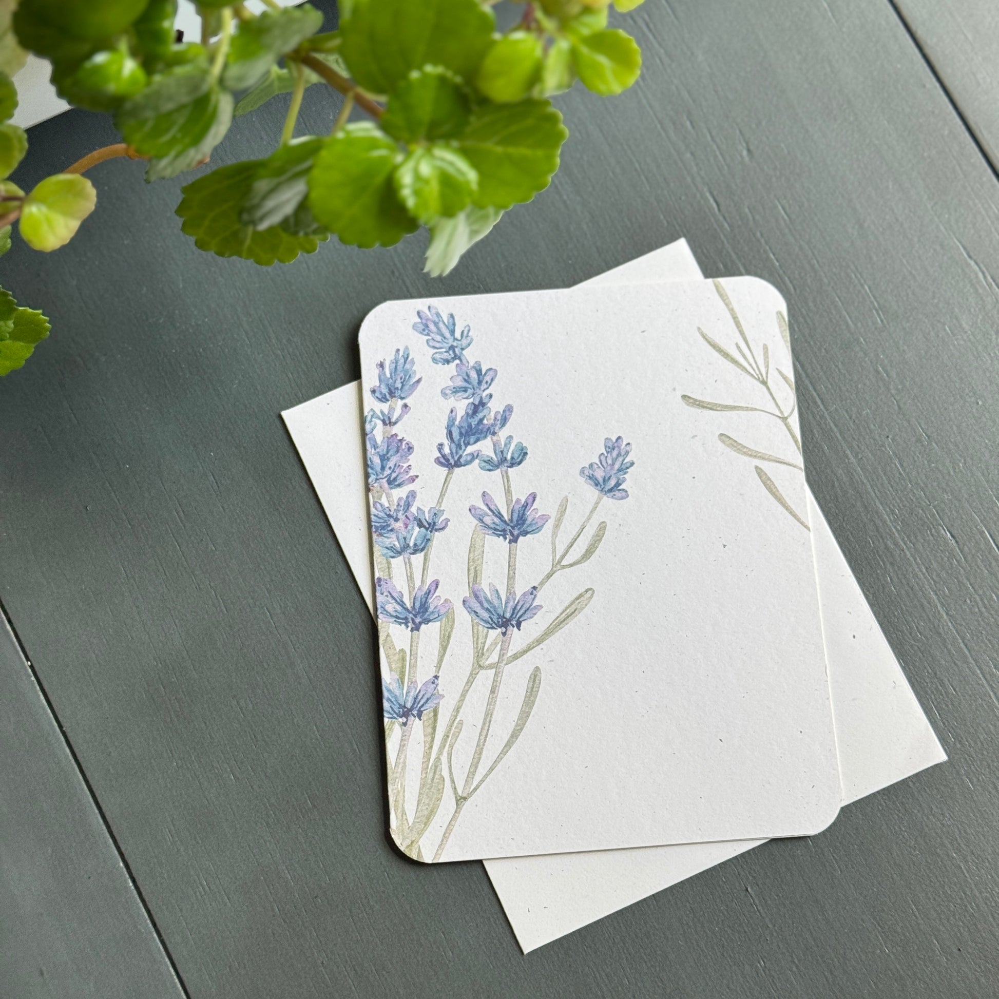 Lavender Card