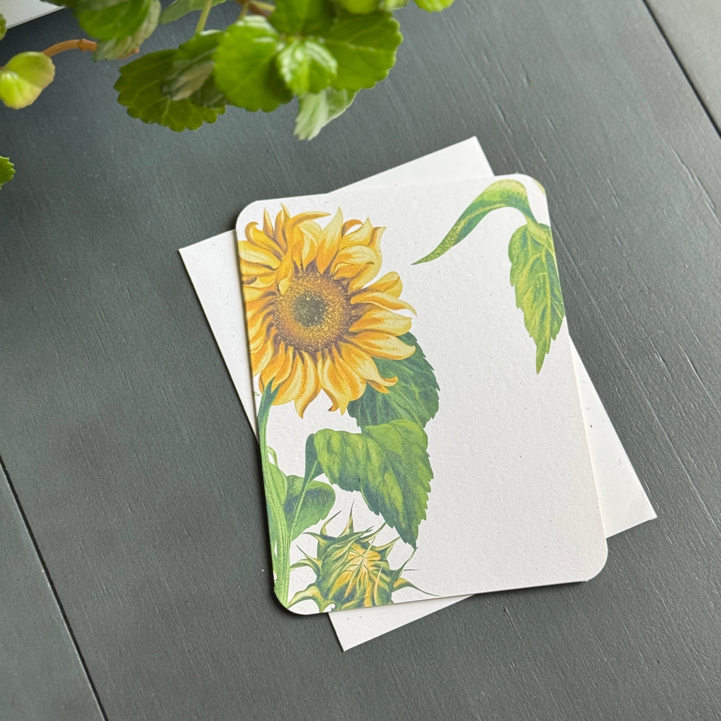 Sunflower Card