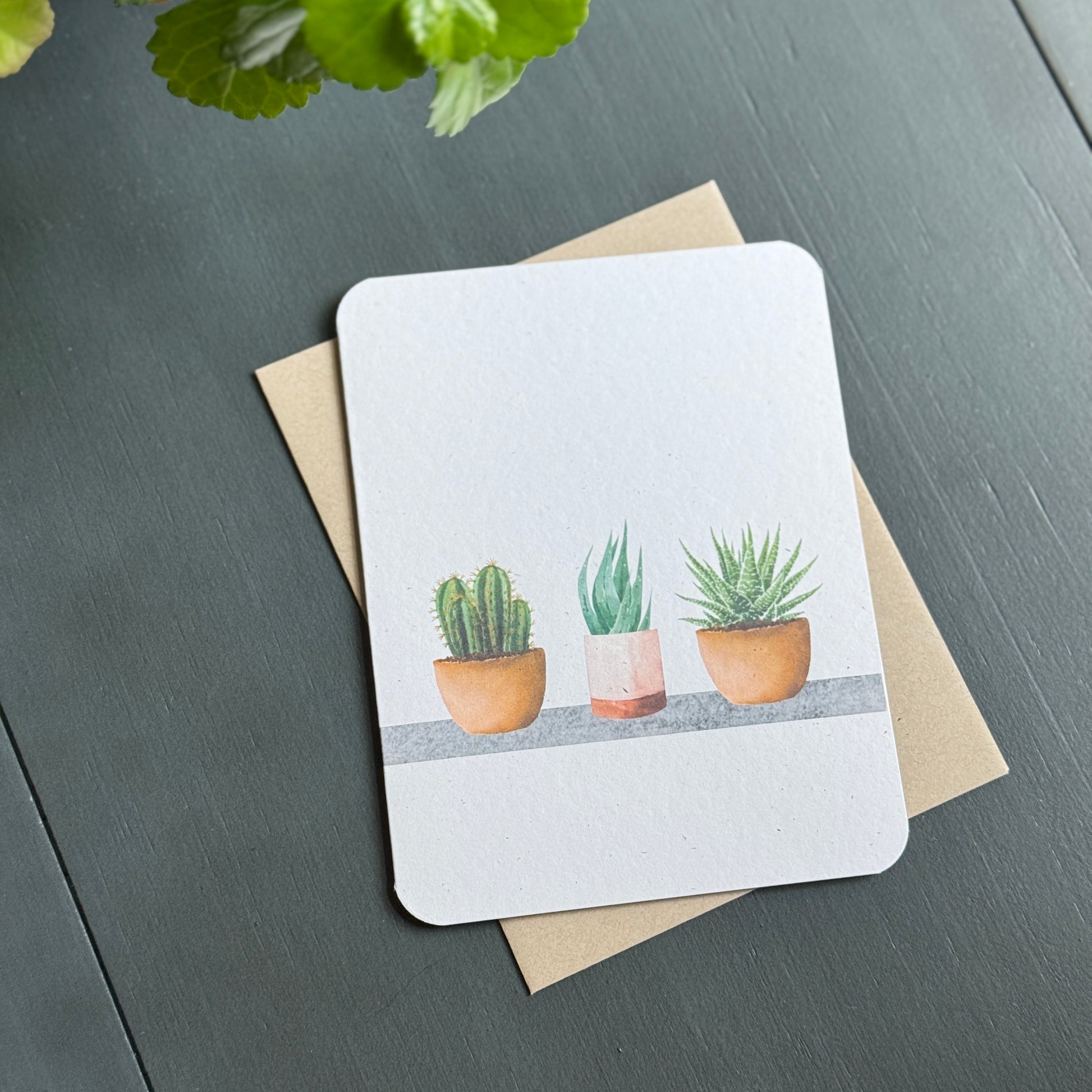 succulent greeting cards Succulent Card