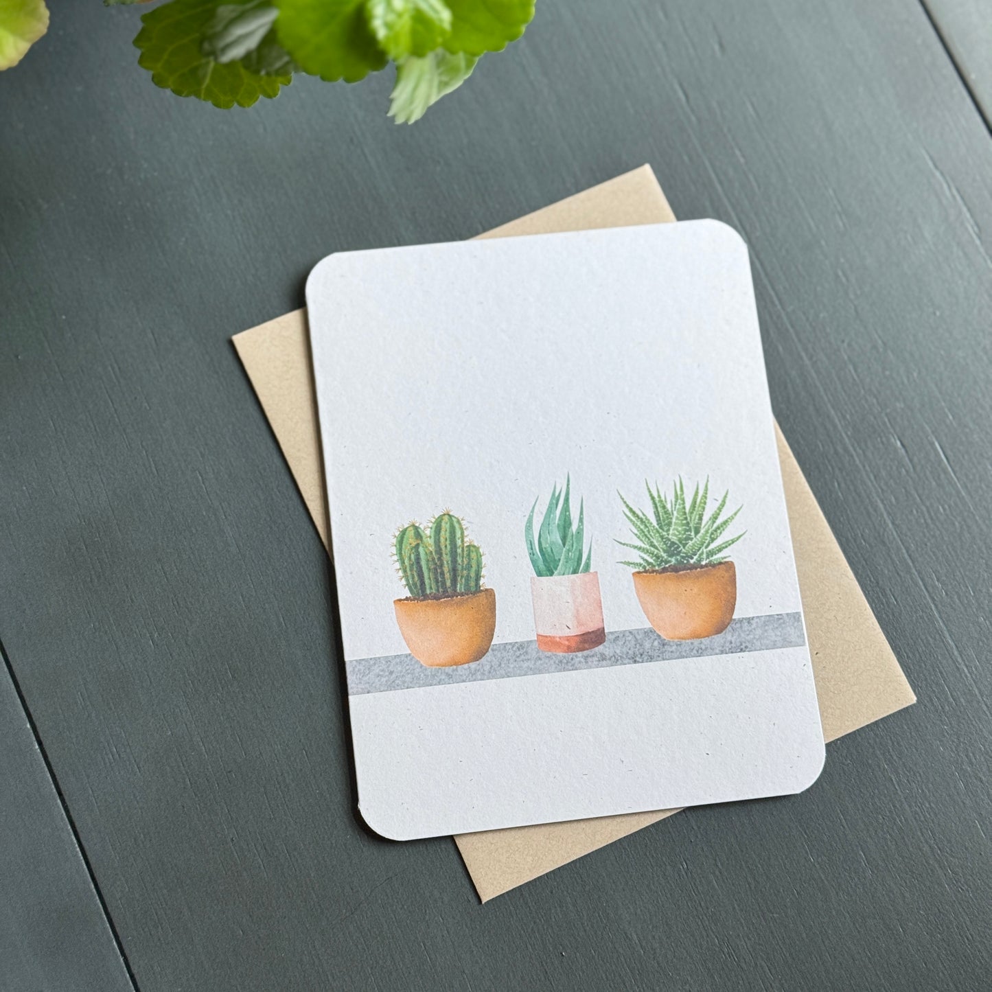 Succulent Card