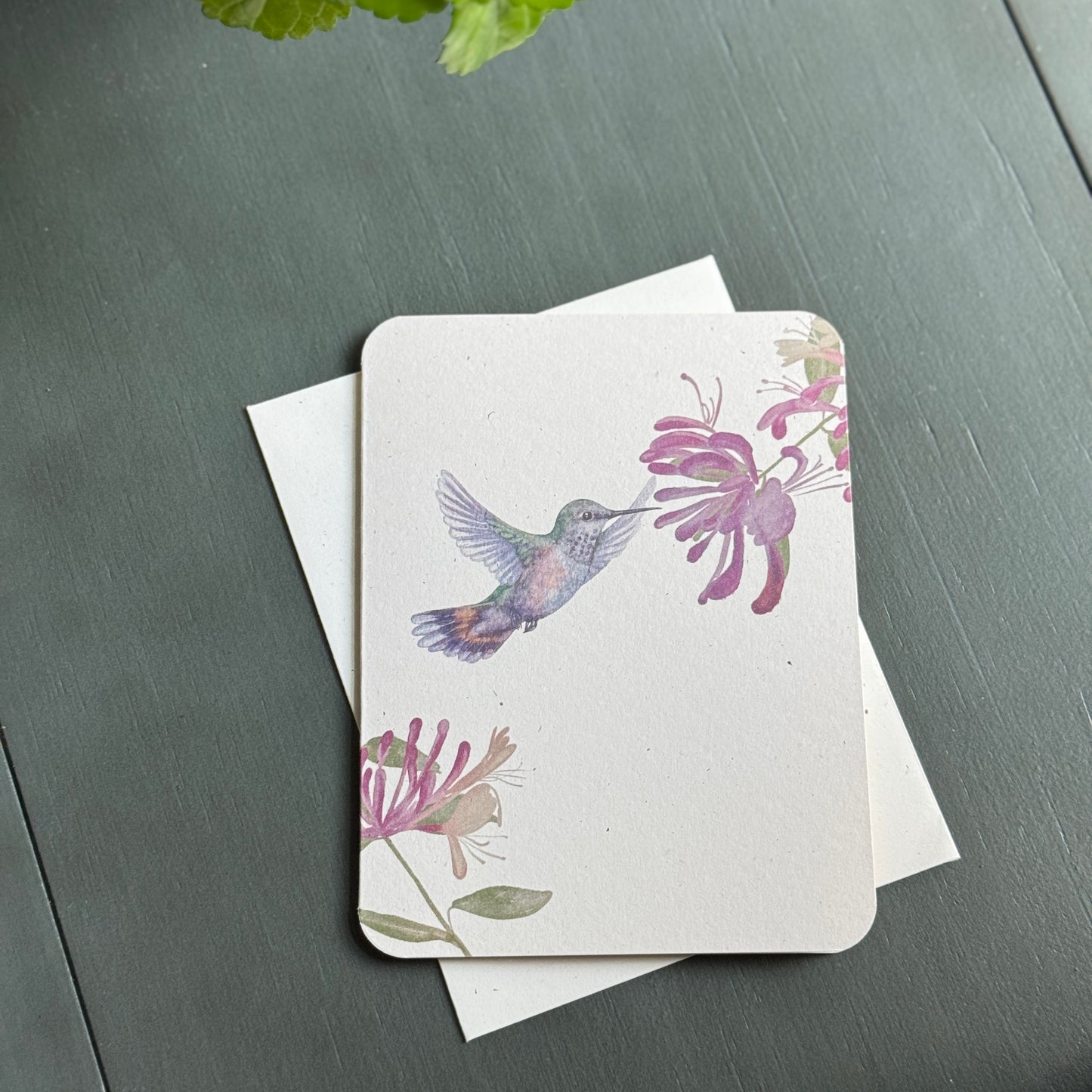 Hummingbird Card