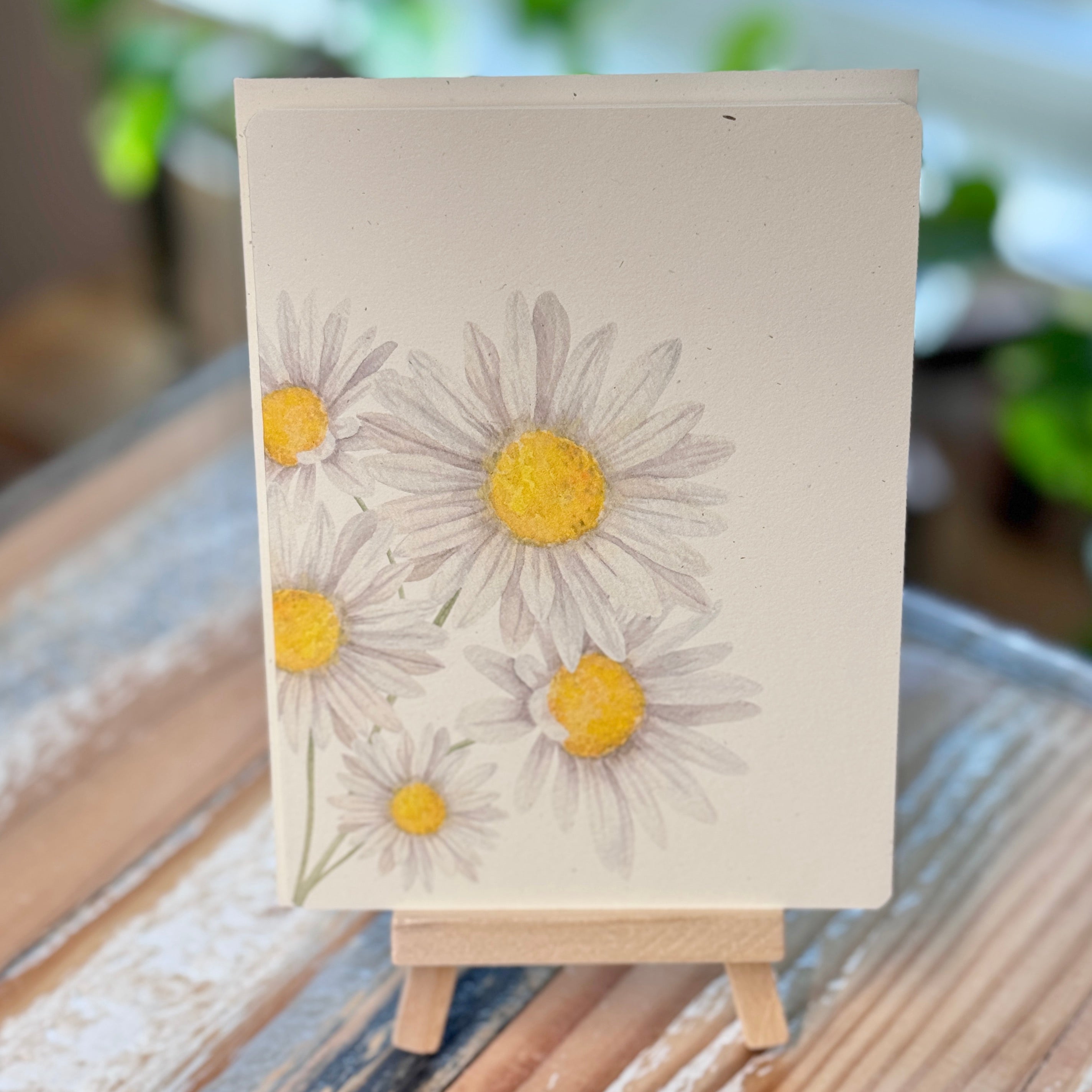 April - Daisy – MB Botanicals