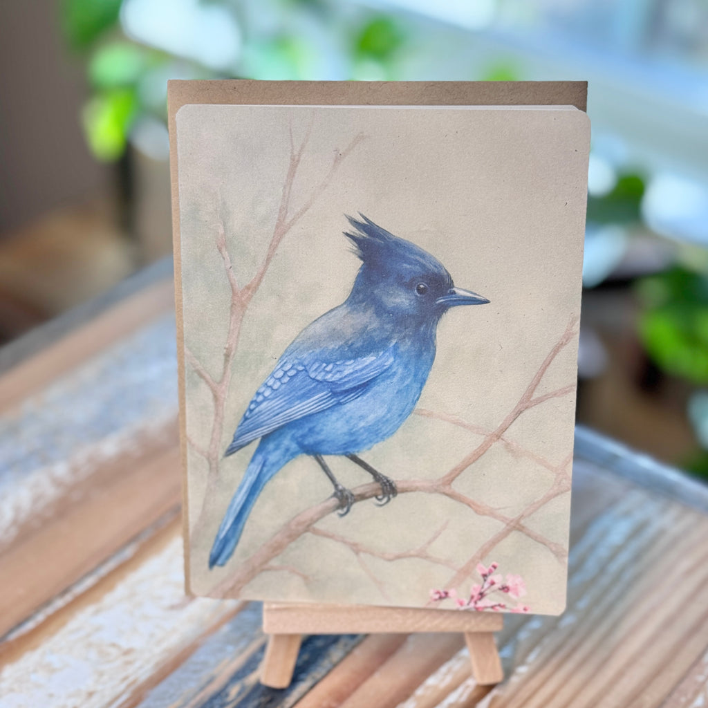 Stellar Jay Card