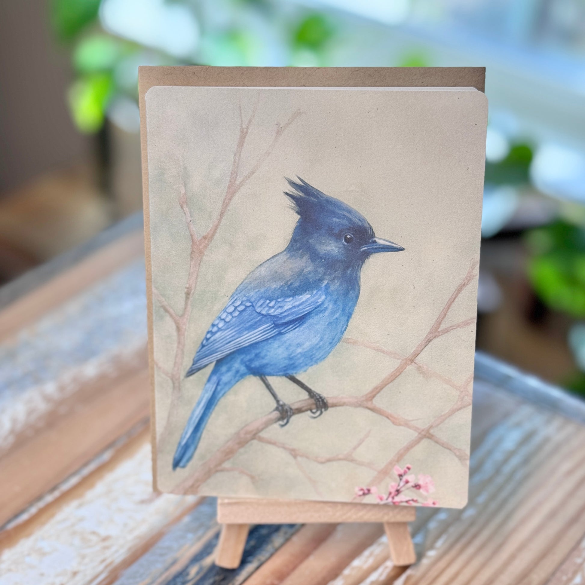 Stellar Jay Card