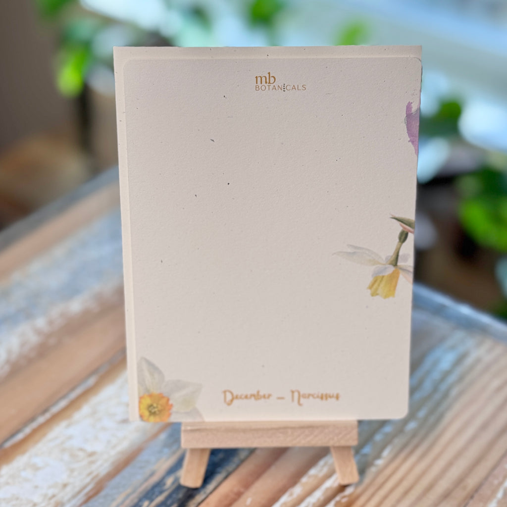 December - Holly/Narcissus