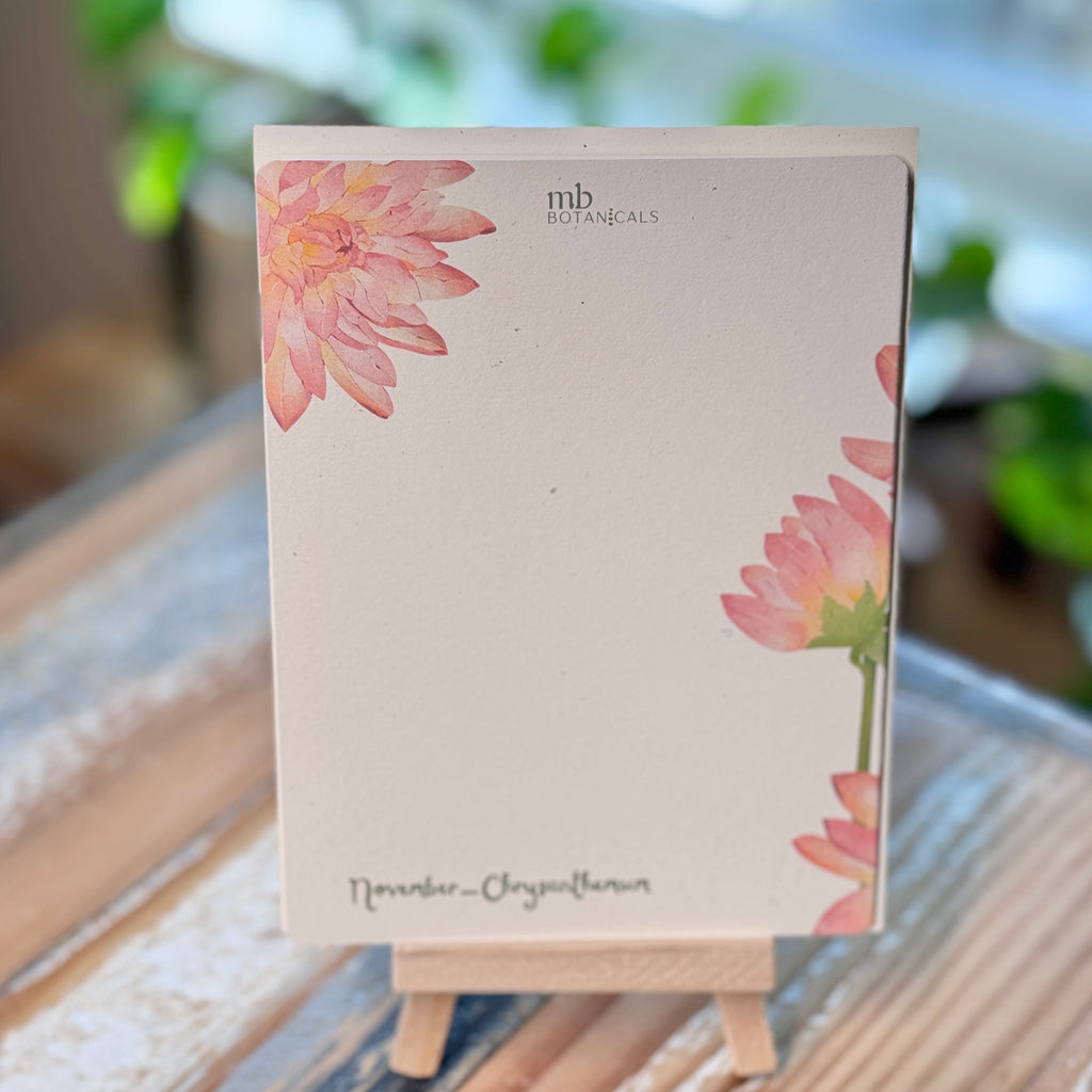 November - Chrysanthemum
