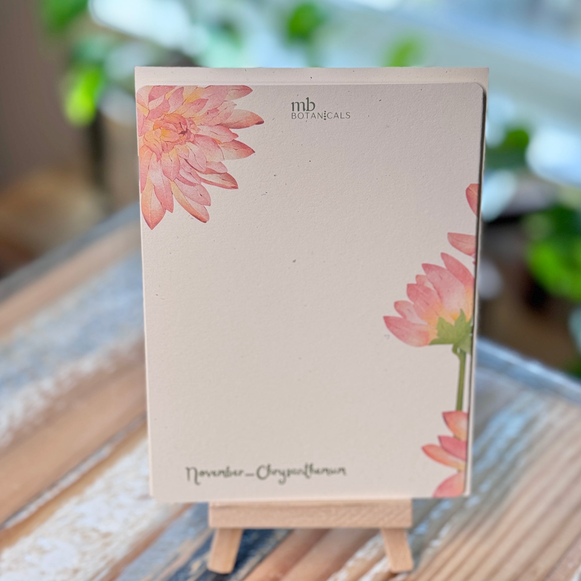November - Chrysanthemum